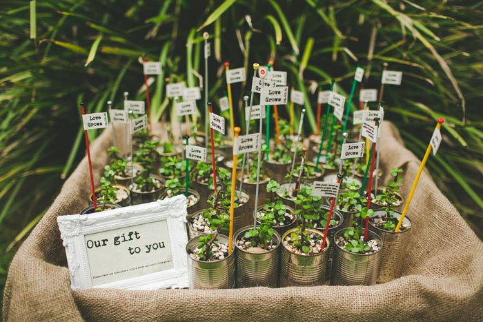An outdoor DIY wedding in Queensland - Modern Wedding