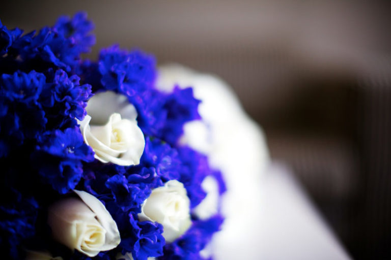 Electric blue wedding with a splash of Vodka Modern Wedding