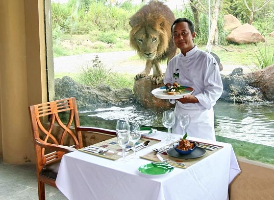 Tsavo Lion Restaurant