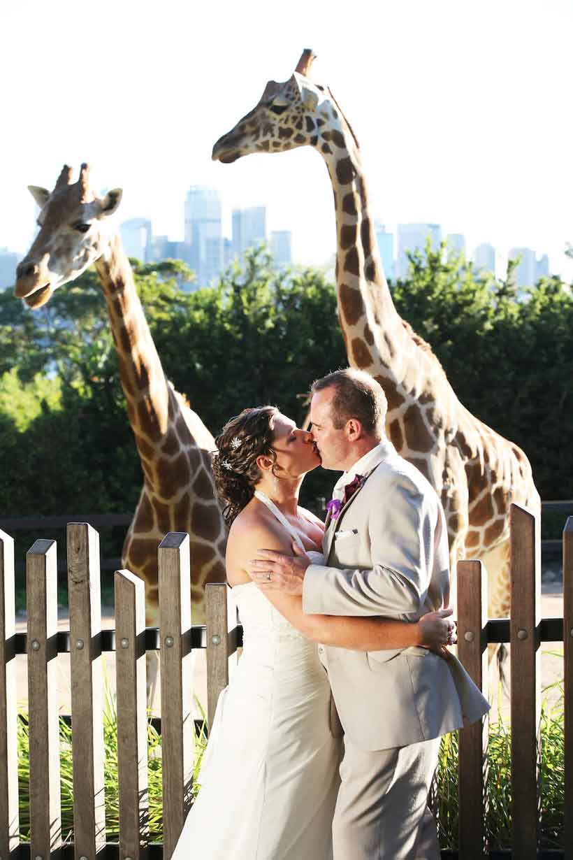 A couple getting married at Taronga Zoo - Sydney