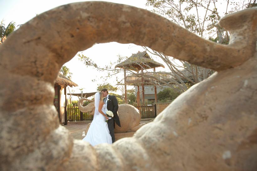 A unique wedding photo at Taronga Zoo
