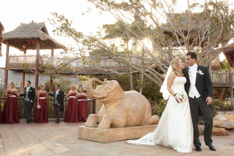 A wedding party at Taronga Zoo