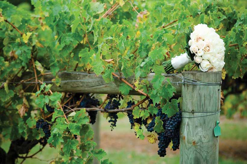 Bouquet in the vineyards of a winery wedding