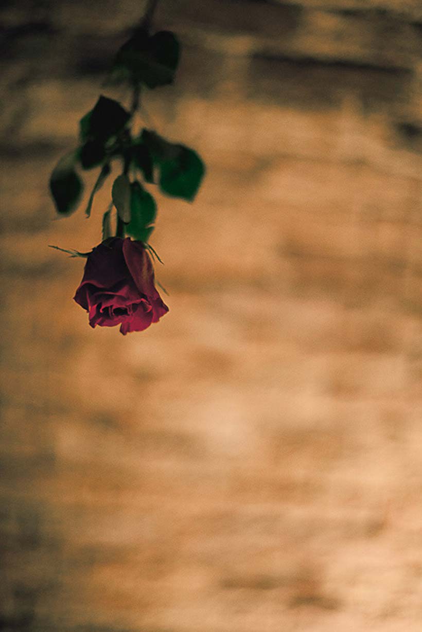 Hanging-rose-decoration