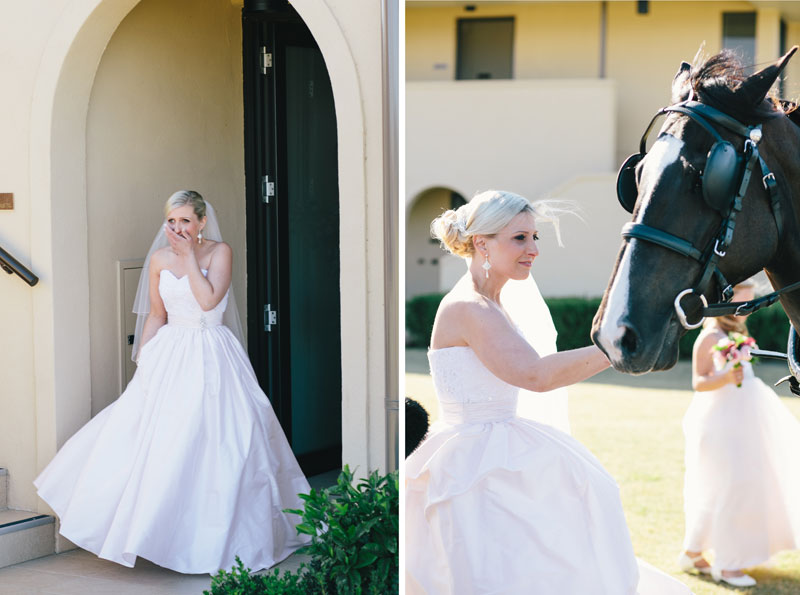 Wedding Horse and Carriage