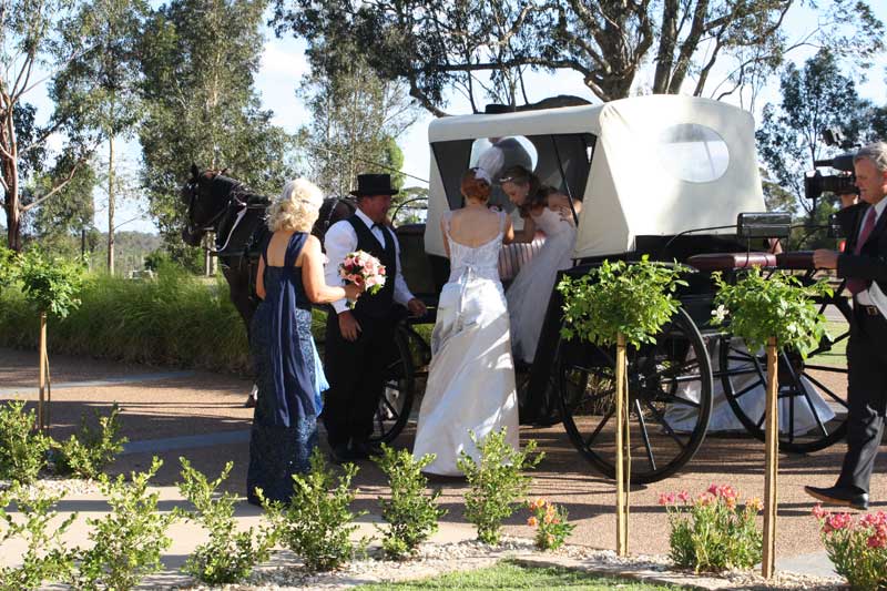 Wedding Horse and carriage