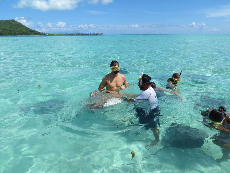 Swimming with Sharks and Stingrays - Bora Bora Honeymoon