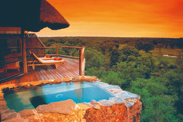 Tsala Treetop Lodge - Exotic Honeymoon Destination