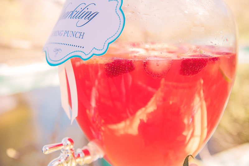 Sparkling Spring Punch