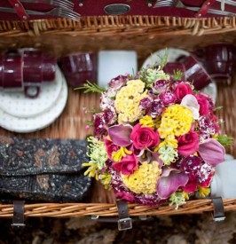 Engagement Shoot Picnic