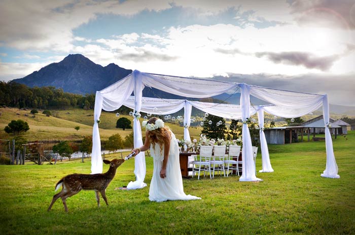 Farm-Wedding-setting