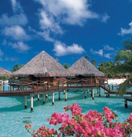 Take-Me-To-Tahiti