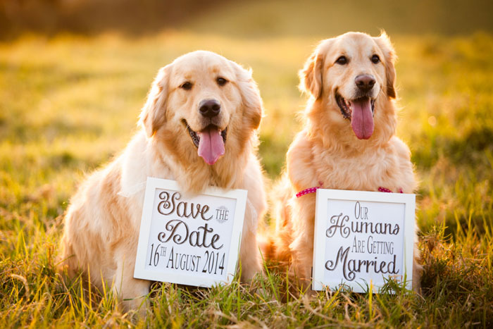 Wedding-save-the-date