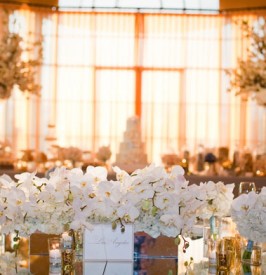 Orchid-Theme-Wedding-Feature
