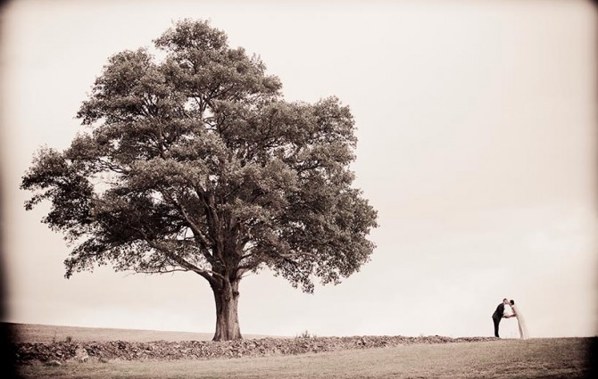 Winery Wedding Feature