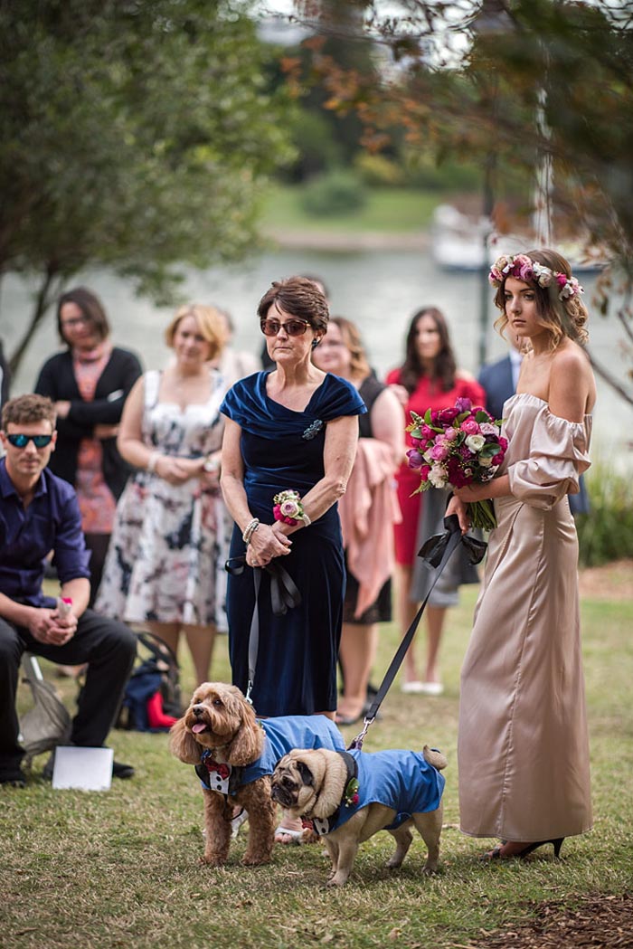 Brisbane Real Wedding Dogs