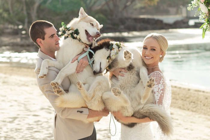 Pets in your wedding 