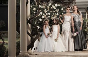 Amarige Bridal Sydney Bridesmaid Gowns