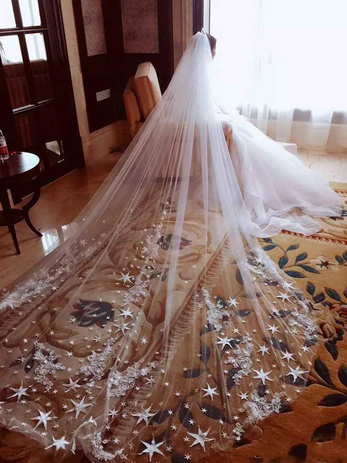 Wedding Veils