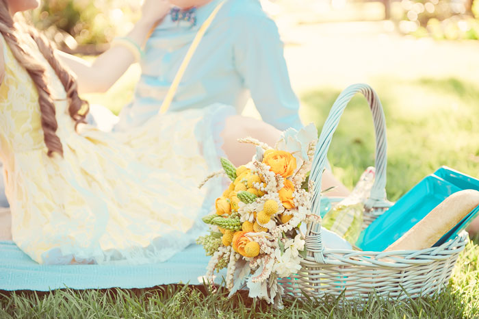 Wedding-picnic