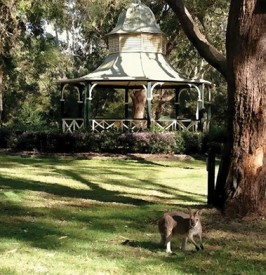 Wedding venues - Hunter Region Botanic Gardens